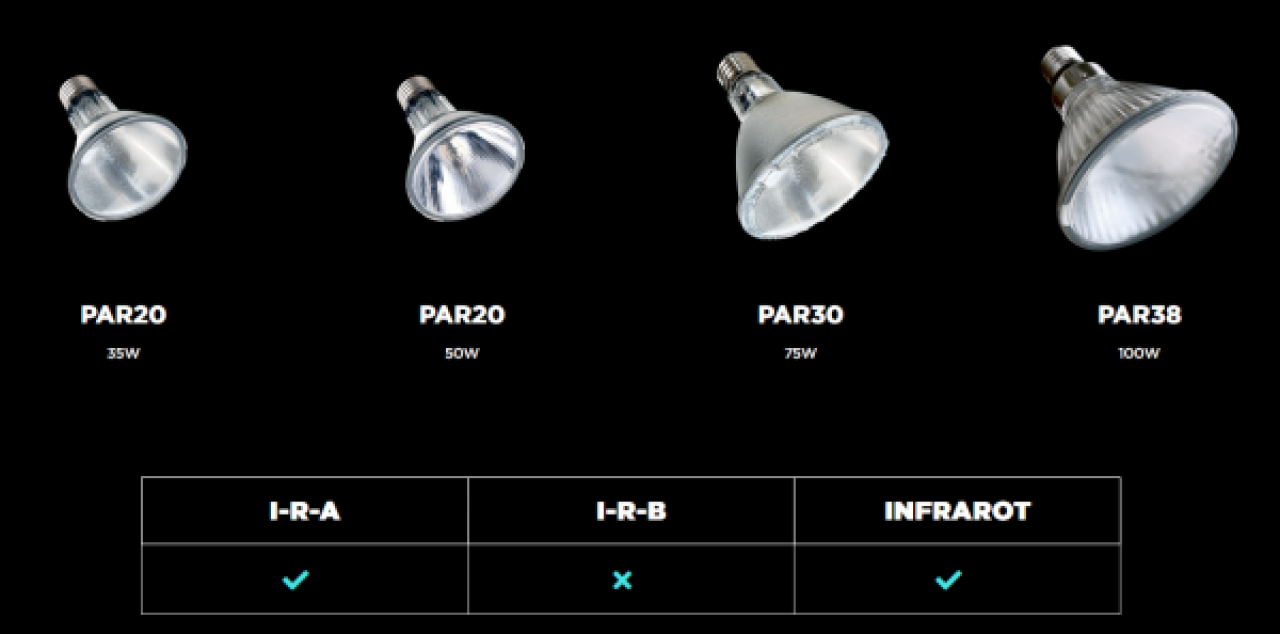 Halogen Heat Lamp 35 Watt